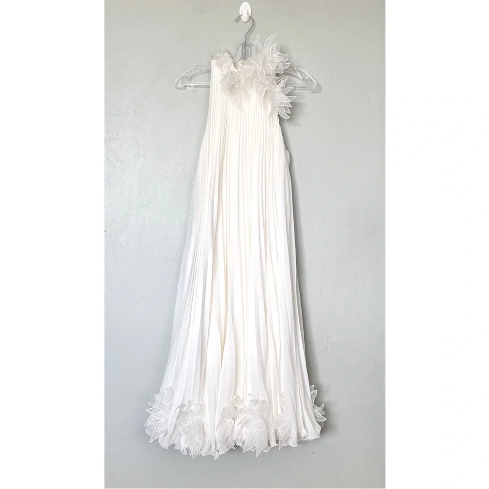 Tadashi Shoji Ivory Pleated Trapeze Chiffon Midi Dress Size XS - Picture 1 of 13
